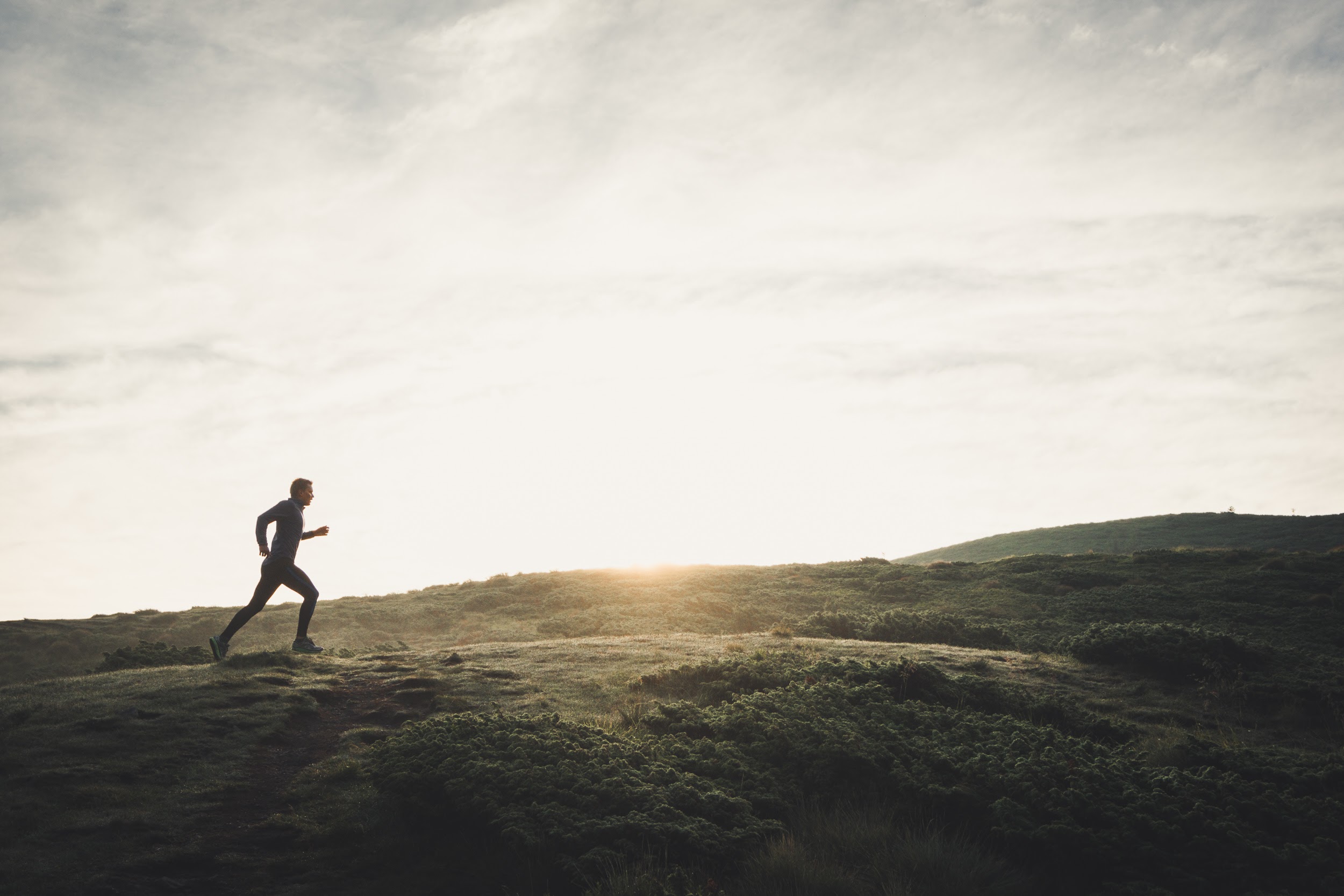 Чем полезен бег? Что говорит наука о пользе бега для здоровья