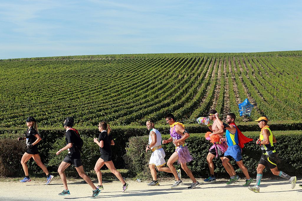 Отчет о Marathon du Medoc: вина, устрицы, сыры (и немного бега)