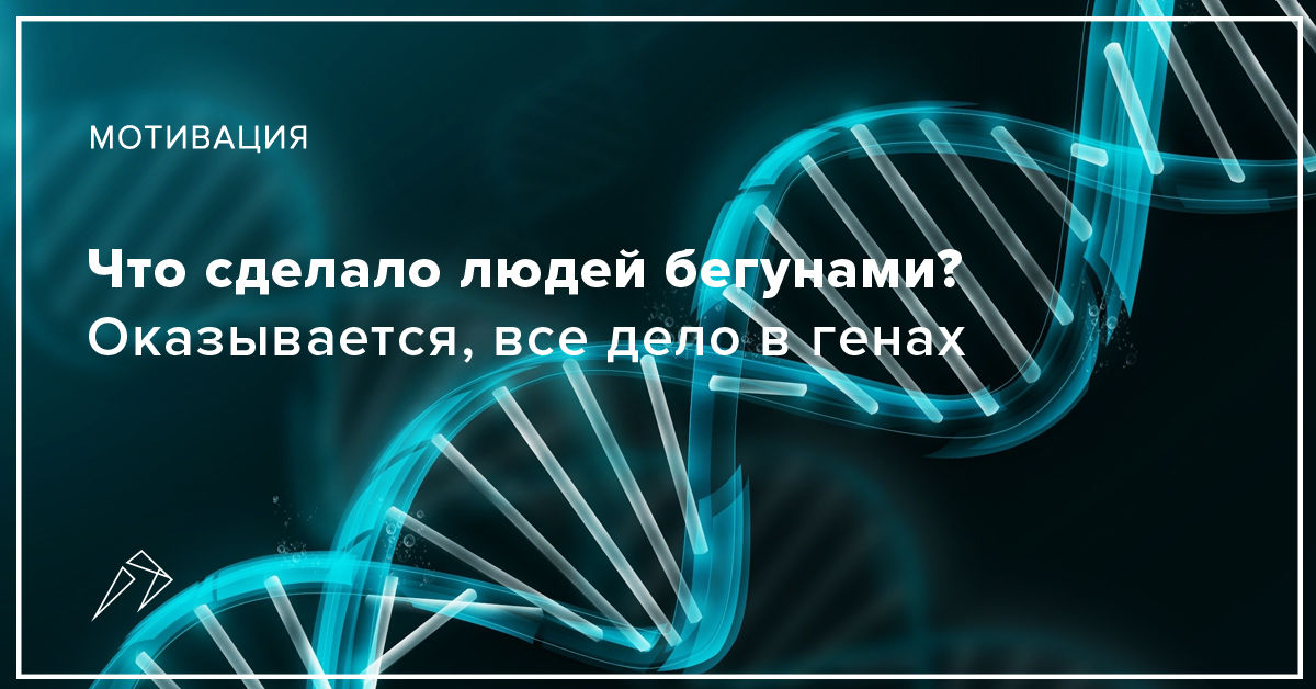 Что сделало людей бегунами? Оказывается, все дело в генах