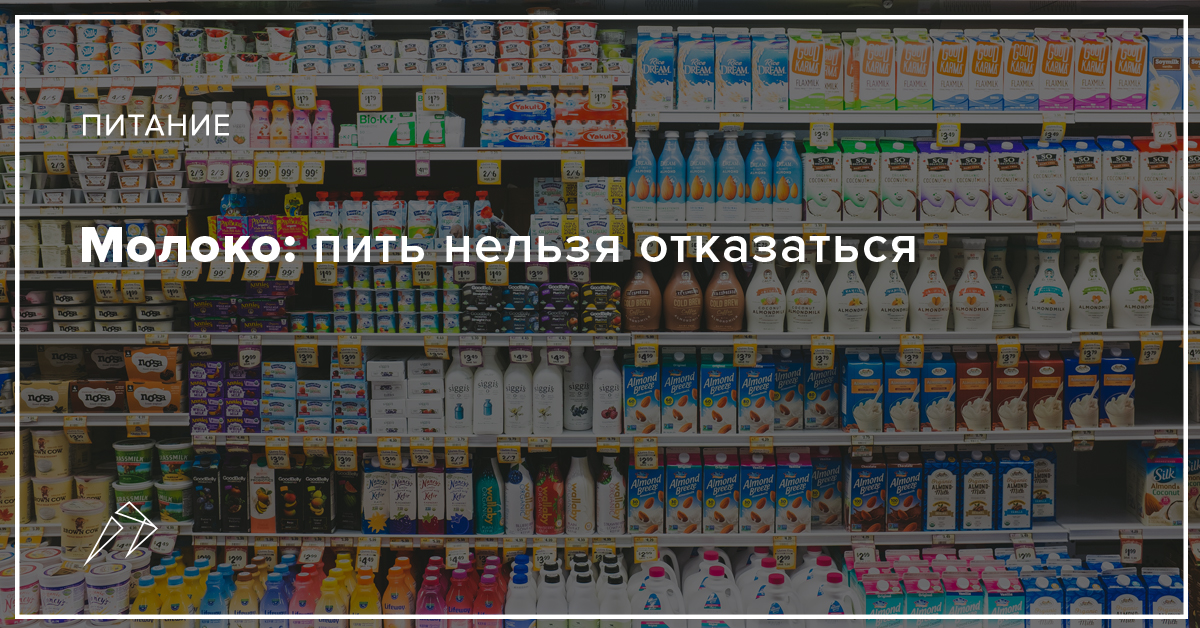 Молоко: пить нельзя отказаться. Что нужно знать о непереносимости лактозы