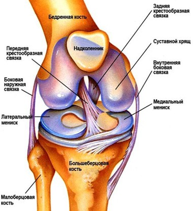 Гид по беговым травмам: хондромаляция и «колено бегуна»